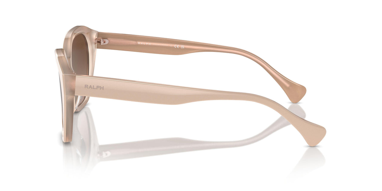 606313 - Beige - Gradient Brown