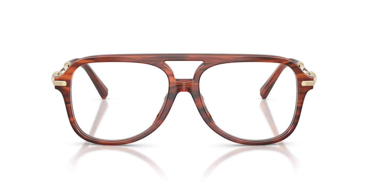 8440 - Tortoise