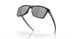 910004 - Black - Prizm Black Polar