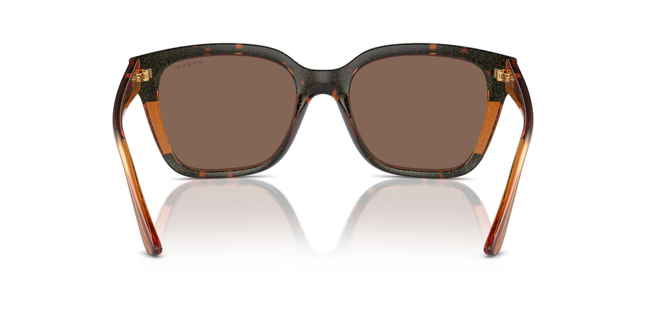 313473 - Tortoise - Dark Brown