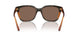 313473 - Tortoise - Dark Brown