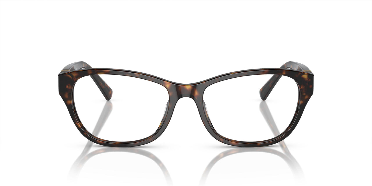 5003 - Tortoise