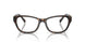 5003 - Tortoise