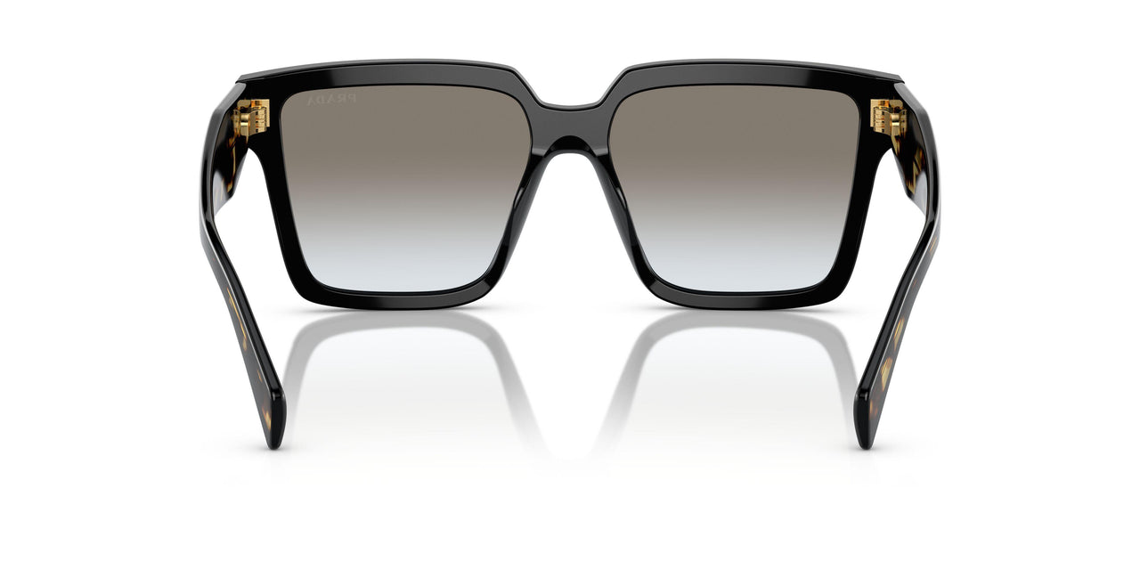1AB0A7 - Black - Grey Gradient