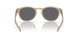 934954 - Violet - Prizm Black Polar