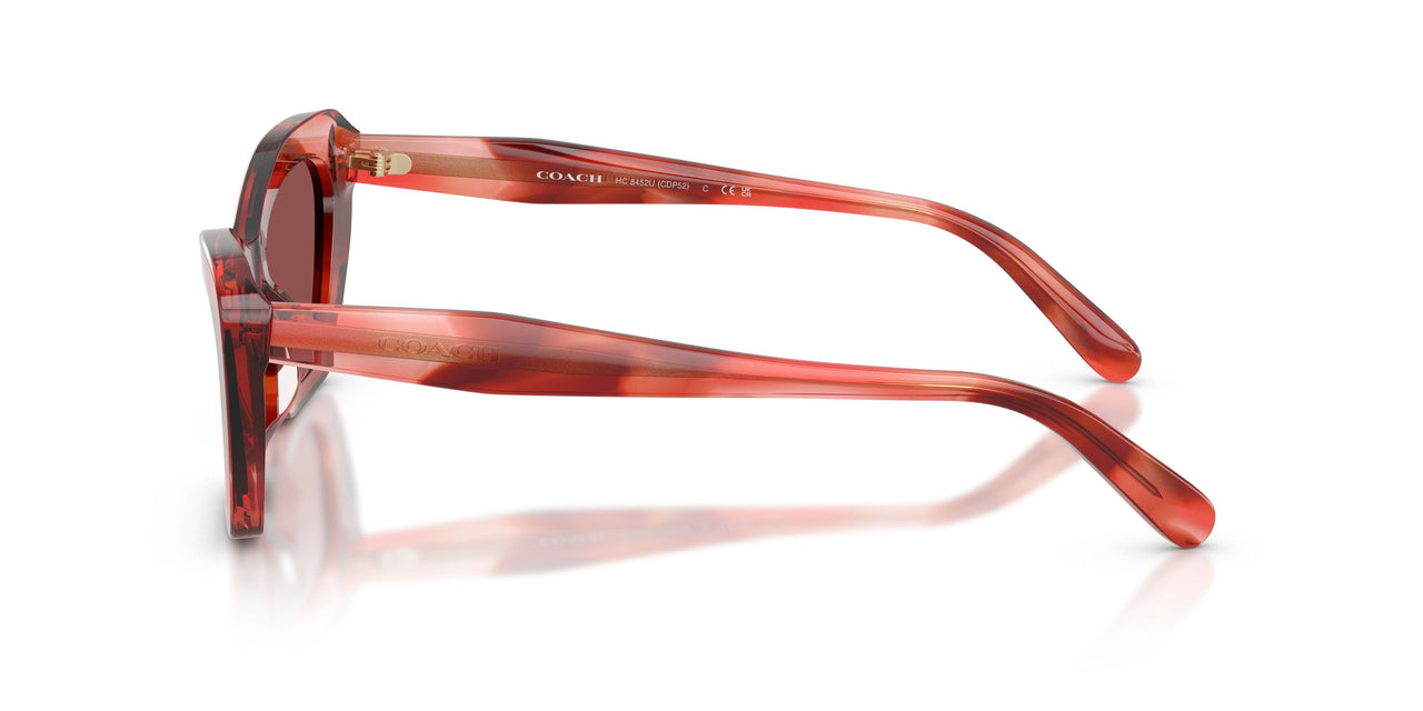 594075 - Red - Wine Solid