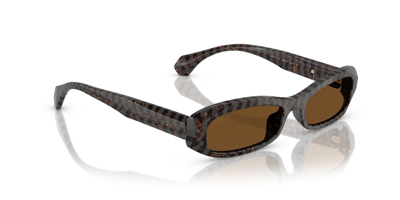 004/57 - Tortoise - Polar Brown