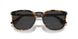 110248 - Tortoise - Polar Black