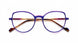 BLPU - Blue Purple