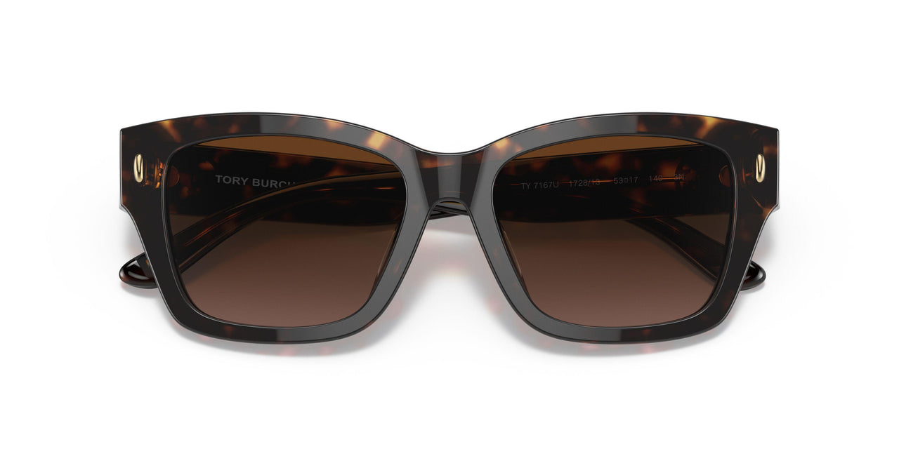 172813 - Havana - Brown Gradient