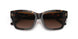 172813 - Havana - Brown Gradient
