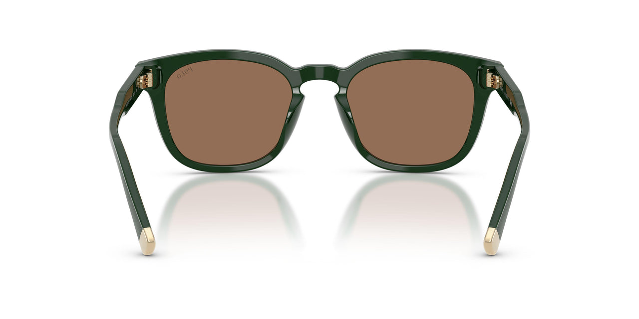 614073 - Green - Dark Brown