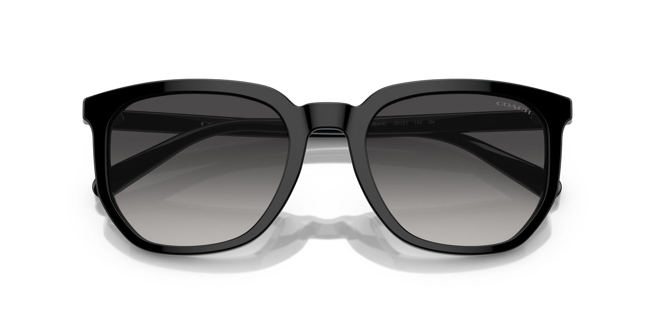 50028G - Black - Grey Gradient