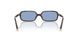 22C60O - Brown - Light Blue