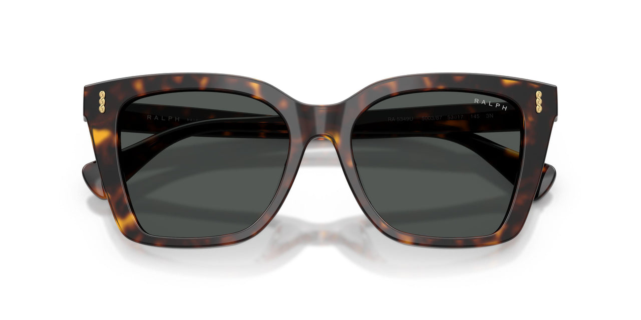 500387 - Tortoise - Grey