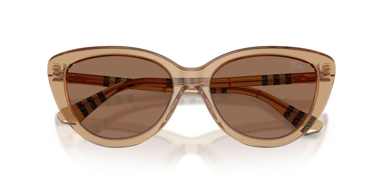 416473 - Beige - Dark Brown
