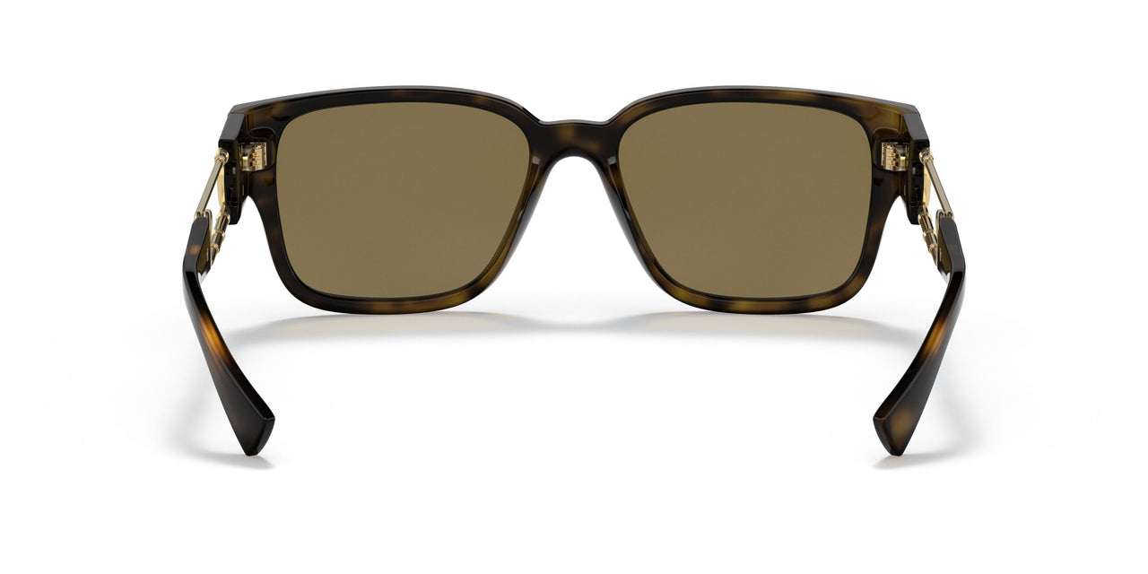 108/73 - Havana - Dark Brown
