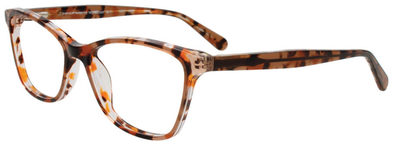 10 - Brown Tortoise