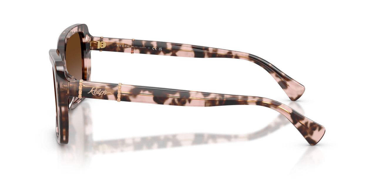 605813 - Tortoise - Gradient Brown