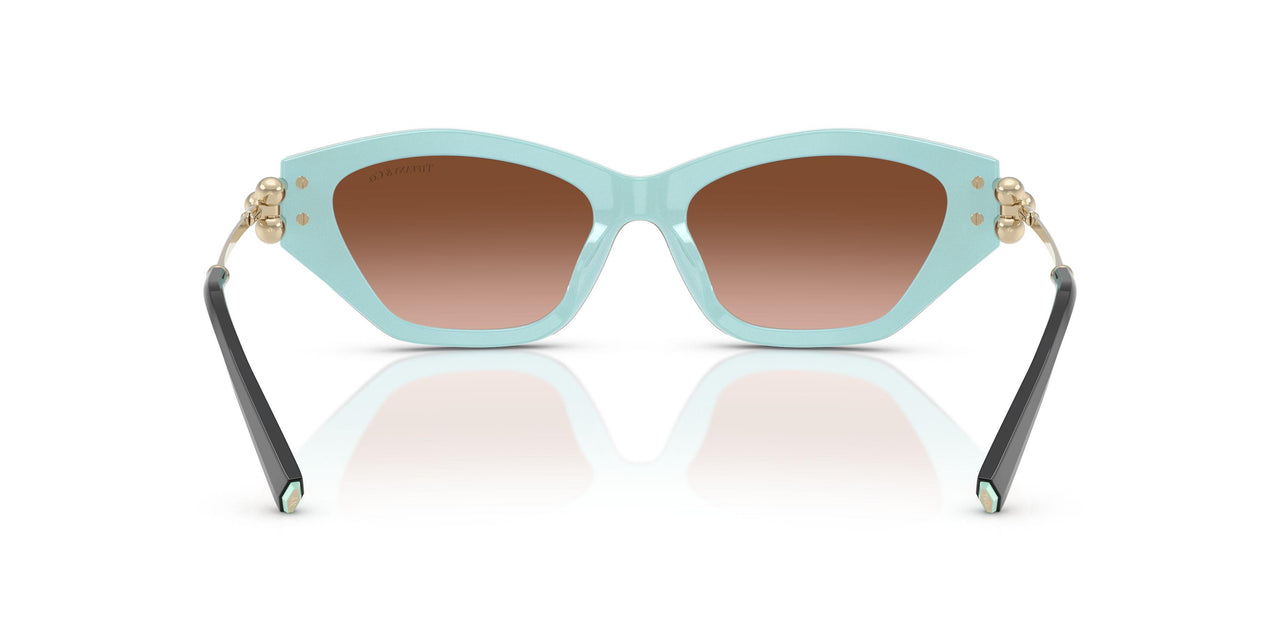 81343B - Brown - Brown Gradient