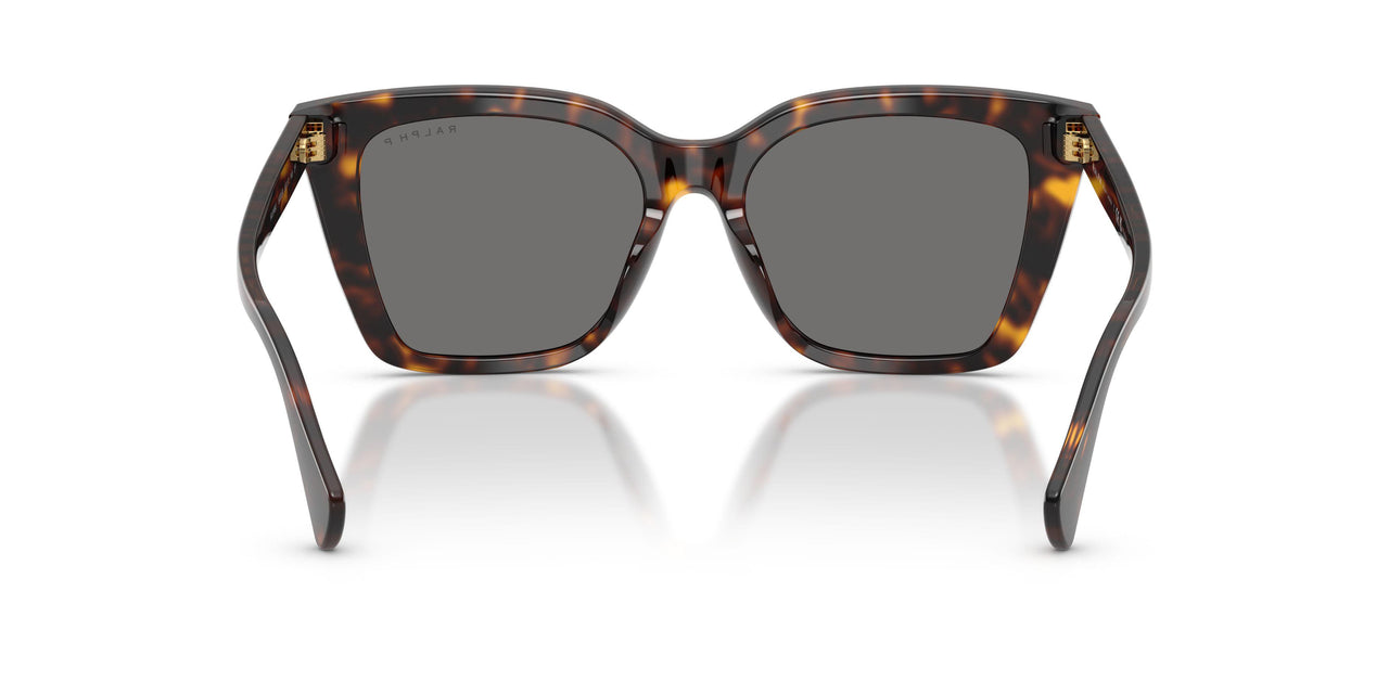 500381 - Tortoise - Polar Grey