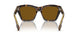 300283 - Brown - Brown Polarized