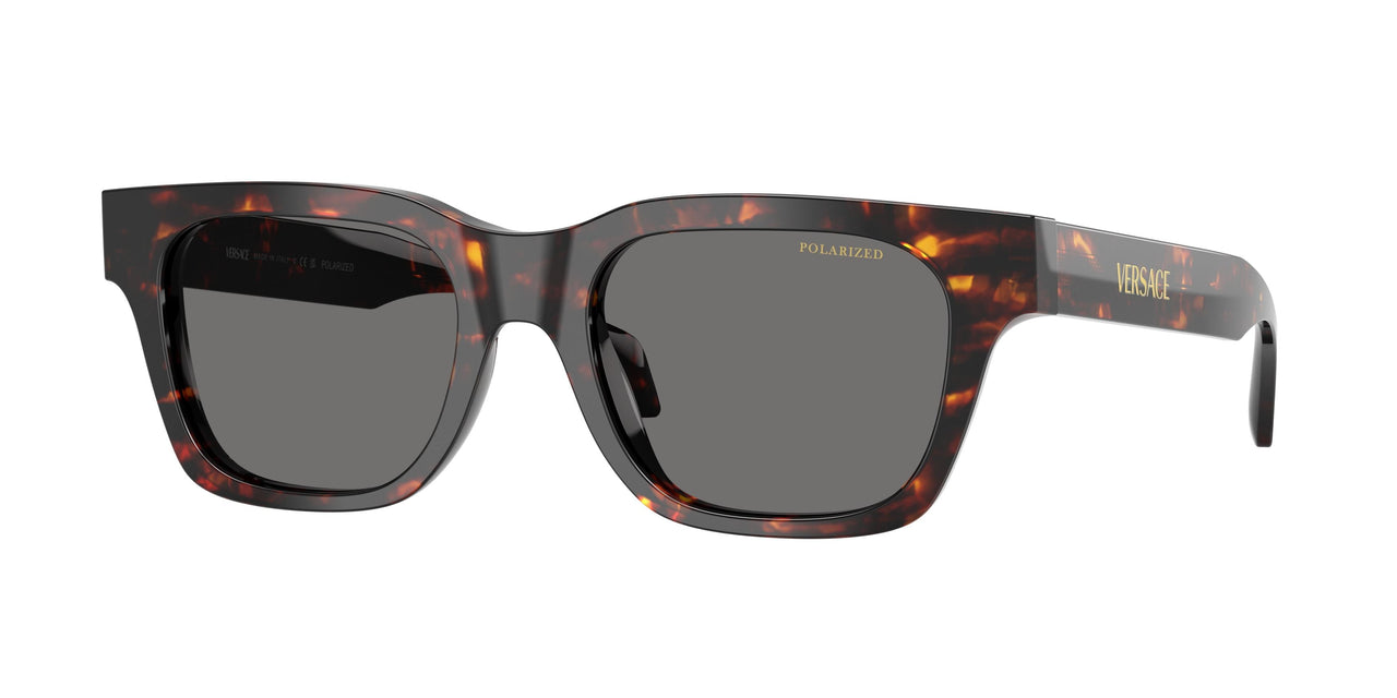 550981 - Tortoise - Dark Grey Polar