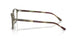 8178 - Brown