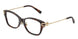 8015 - Tortoise