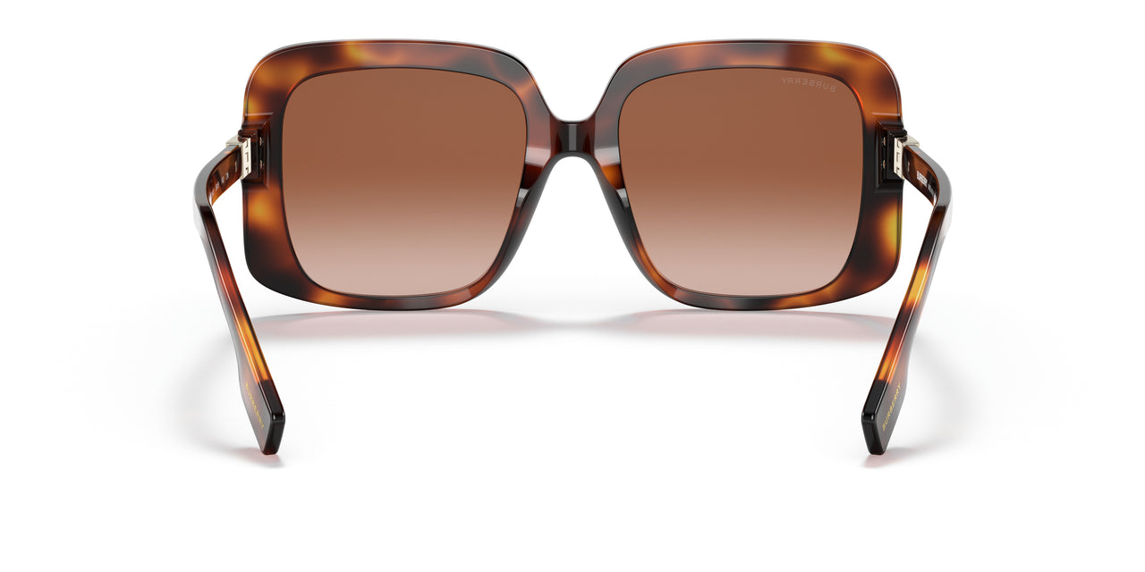 331613 - Havana - Brown Gradient