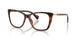 6149 - Tortoise