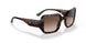 W65613 - Havana - Brown Gradient