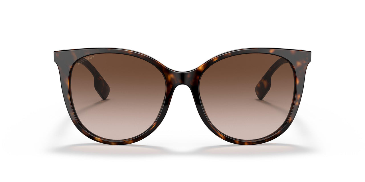 300213 - Havana - Brown Gradient