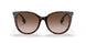 300213 - Havana - Brown Gradient