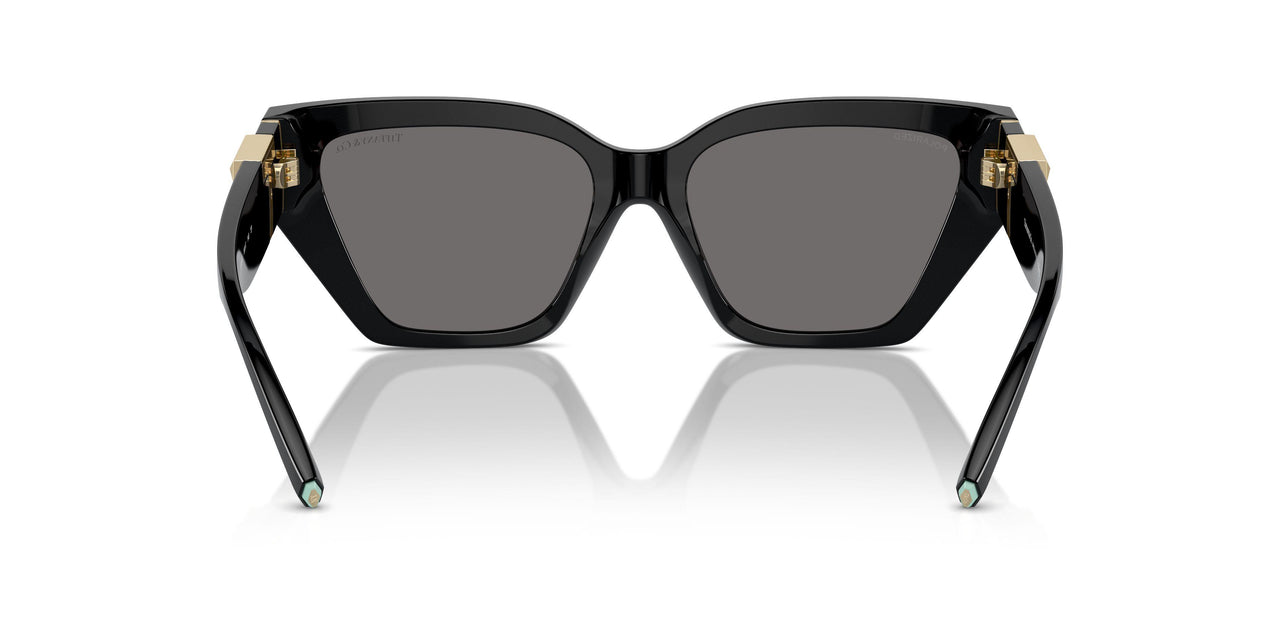 800181 - Black - Dark Grey Polarized