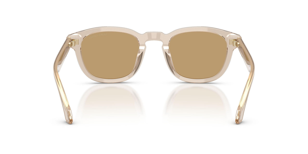 647173 - Brown - Brown