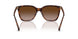 614913 - Tortoise - Brown Gradient