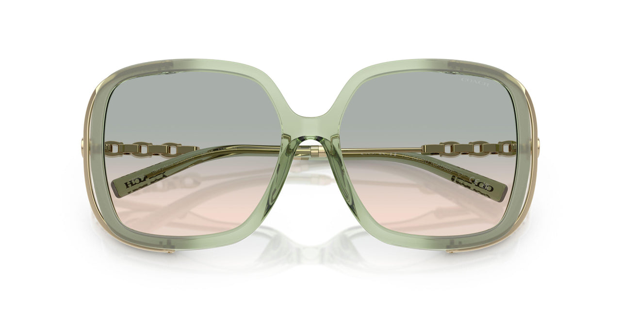 58902C - Grey - Green Peach Gradient