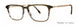 Valdo Nico Eyeglasses