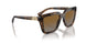 2386T5 - Brown - Gradient Brown Polarized