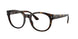 Ray-Ban 7227 Eyeglasses