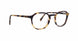 MTR - Matte Tortoise