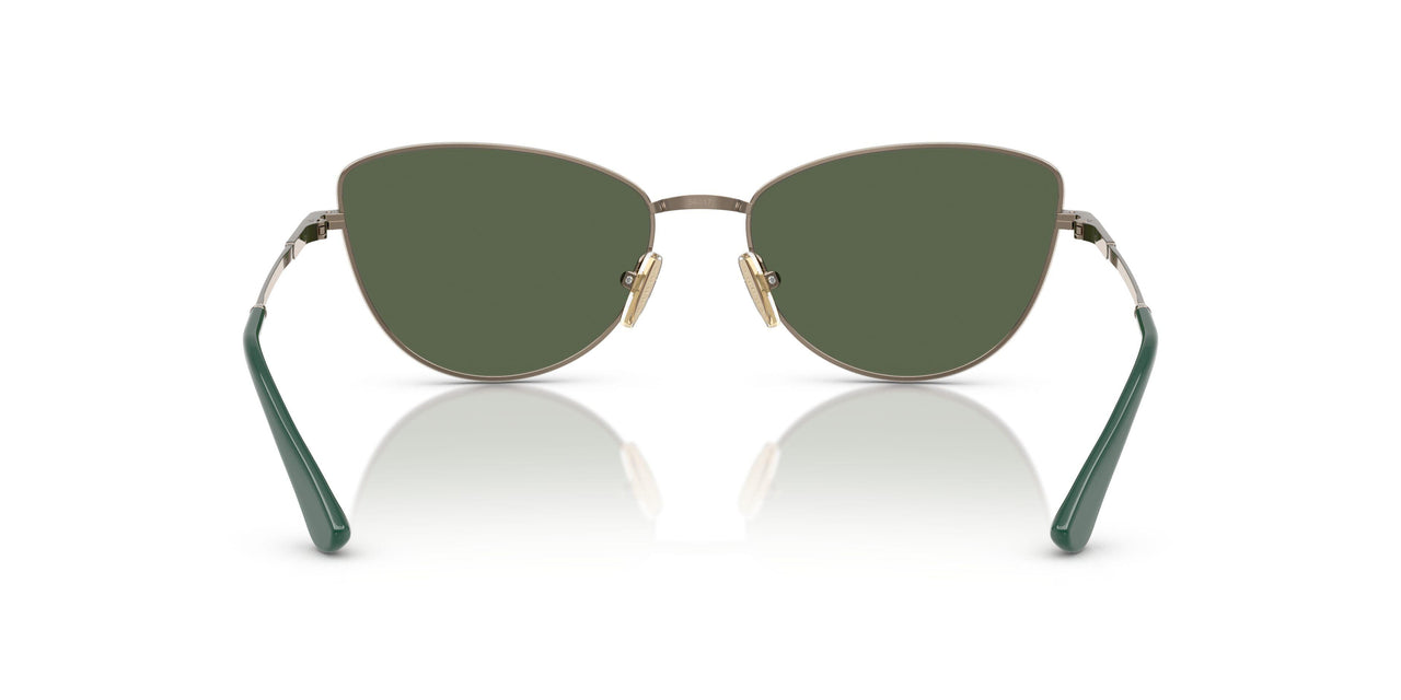 51389A - Brown - Dark Green Polar