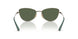 51389A - Brown - Dark Green Polar