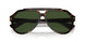 502/71 - Tortoise - Dark Green