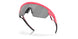 940310 - Pink - Prizm Black