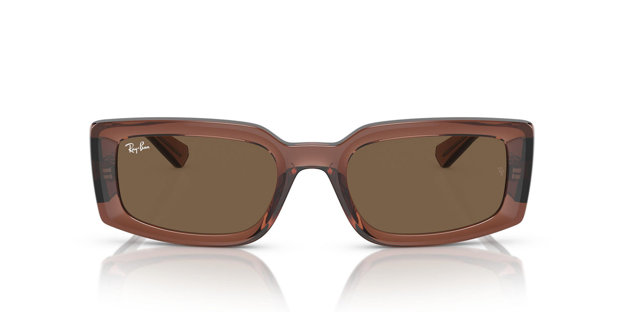 667873 - Brown - Dark Brown