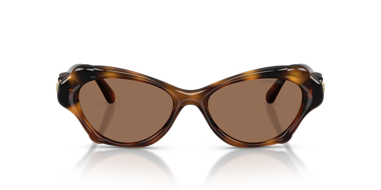 100273 - Tortoise - Dark Brown