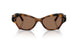 100273 - Tortoise - Dark Brown