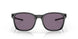 901801 - Black - Prizm Grey